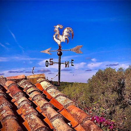 Spartaco Eco Retreat San Pantaleo Sole Ruiu エクステリア 写真