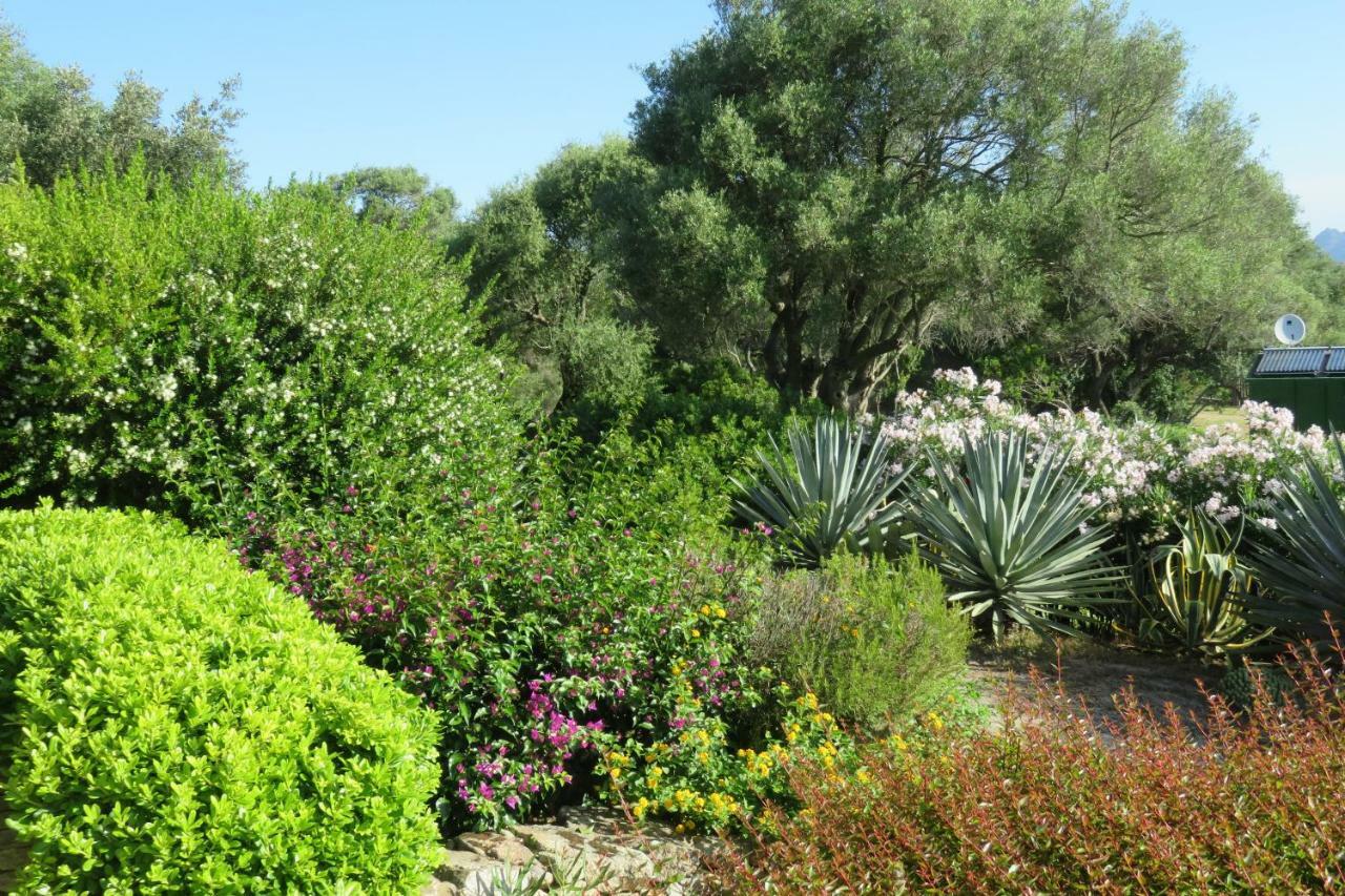Spartaco Eco Retreat San Pantaleo Sole Ruiu エクステリア 写真