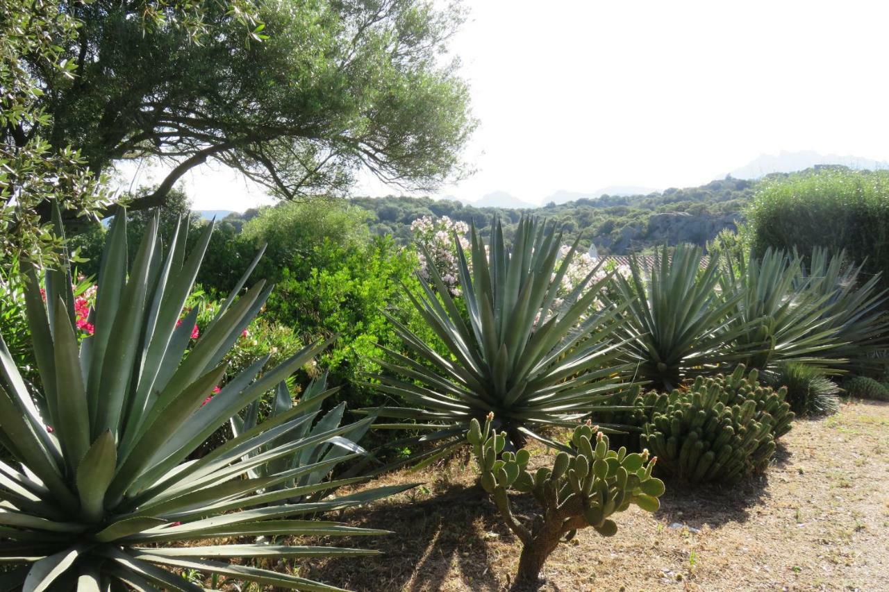 Spartaco Eco Retreat San Pantaleo Sole Ruiu エクステリア 写真